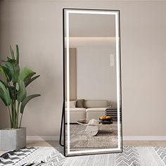 a large mirror sitting on top of a floor next to a potted green plant