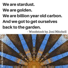 a quote from woodcock by jon mitchell on the subject of an art project, we are golden