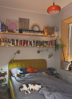 a cat laying on top of a bed next to a book shelf filled with books