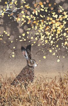 a painting of a rabbit sitting in the grass under a tree with yellow leaves on it