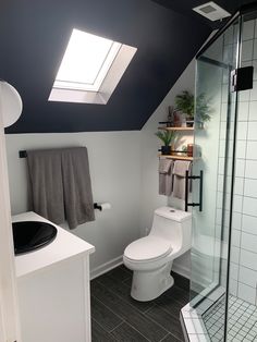 a white toilet sitting under a skylight in a bathroom next to a walk in shower