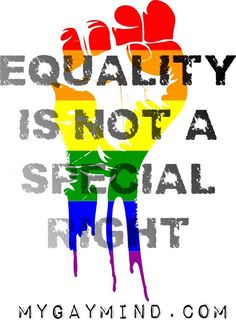 a poster with the words equality is not a social right in rainbows and black