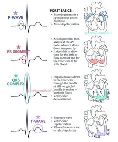 Advanced Emt, Ekg Rhythms, Nursing School Prep, Emt Study