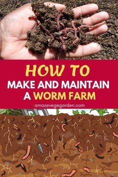 how to make and maintain a worm farm in the garden with text overlaying