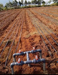 pipes are lined up in the middle of a field