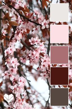 a tree with pink and brown flowers in the foreground is surrounded by color swatches