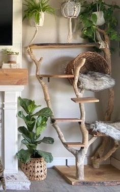 a cat sitting on top of a tree next to a tv and potted plants