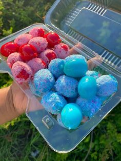 a plastic container filled with blue, red and pink desserts on top of green grass