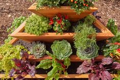 a garden filled with lots of different types of vegetables and plants growing on top of each other