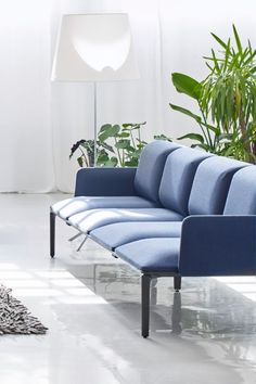 a blue couch sitting in the middle of a room next to a potted plant