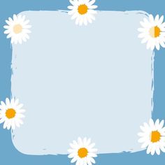 an image of daisies on a blue background