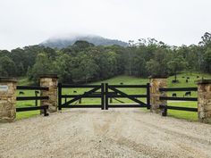 an open gate leads to a dirt road with cows grazing in the pasture behind it