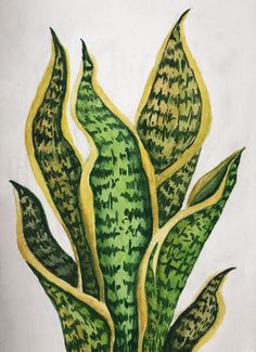 a drawing of a green plant with yellow tips