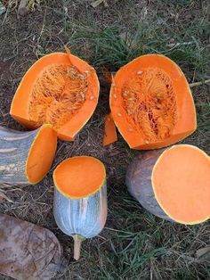 the pumpkins are cut in half and ready to be used as garnish