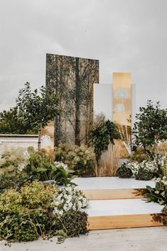 an outdoor garden with trees and plants