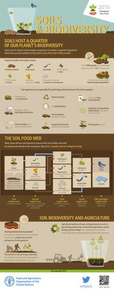 an info sheet describing the different types of plants and animals that live in this area