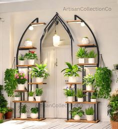 an arched window is filled with potted plants