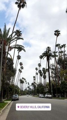 palm trees line the street in beverly hills, california on a cloudy day with blue sky