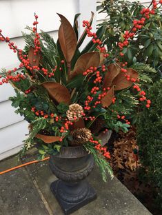 a potted plant with red berries and pine cones