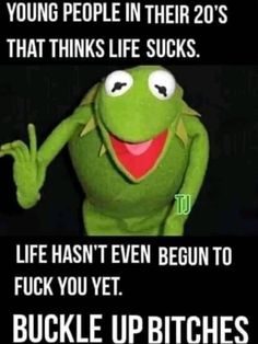 Kermit The Frog Quotes, Funny Mean Quotes, Quotes Wisdom, Kermit The Frog