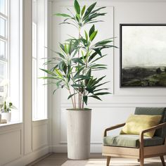 a large potted plant in a living room next to a chair and painting on the wall