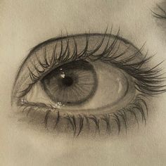 a pencil drawing of an eye with long lashes and brown eyeshade, looking down at the viewer