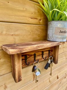 a potted plant sitting on top of a wooden shelf next to keys and key hooks