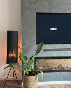 a living room with a large flat screen tv mounted on the wall next to a potted plant