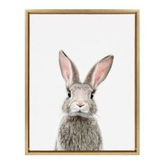 a framed photograph of a rabbit's face