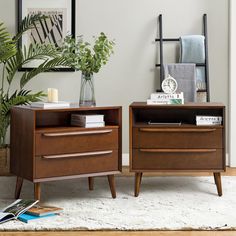 two wooden nightstands sitting on top of a carpeted floor next to a plant