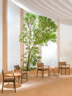 a room with chairs and a tree in it