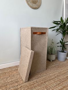 two cardboard boxes sitting on the floor next to a potted plant in a corner