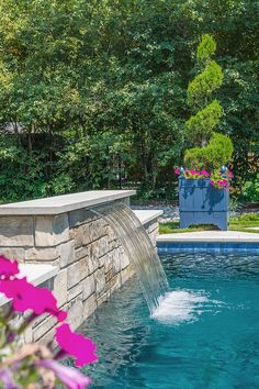 a pool with a waterfall in the middle and flowers growing on it's side