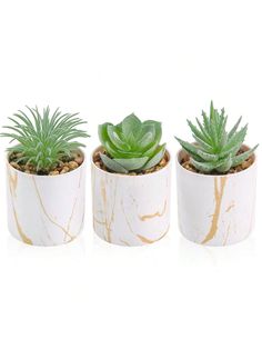 three white and gold planters with succulents in them on a white background