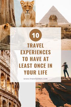 the top 10 travel experiences to have at least once in your life, including pyramids and lions