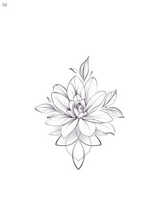 a black and white drawing of a flower