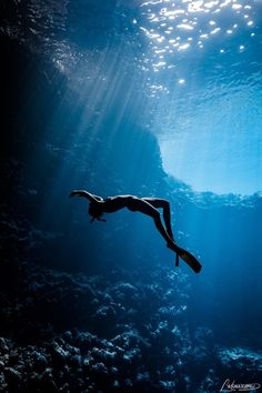 a man swimming in the ocean with his back turned to the camera, under water