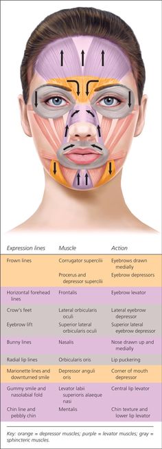 Botox Injection Sites Diagram, Massage Quotes, Botox Face, Botulinum Toxin