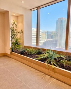 a planter filled with plants next to a large window