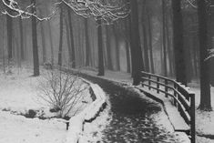 black and white photograph of a path in the woods with snow on it, surrounded by trees