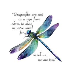 a dragonfly with a quote on it that says,'dragonflies are sent as a sign from above, to show us we care for