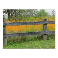 a wooden fence in front of tall grass and trees with yellow flowers on the other side