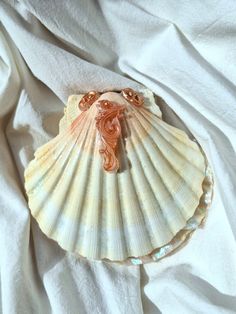 an image of a seashell on a white sheet