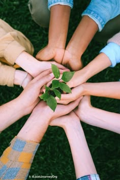 several people holding hands together with a plant in the middle