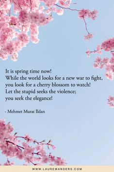 Fruit Quotes, Short Captions, White Cherry Blossom, Cherry Blossom Season, Cherry Fruit, White Cherries