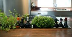 several bottles of wine are sitting on a kitchen counter with herbs and spices in the foreground