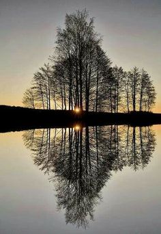 the sun is setting behind some trees and reflecting in the still water on the lake