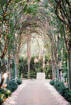 an outdoor wedding venue with trees and lights