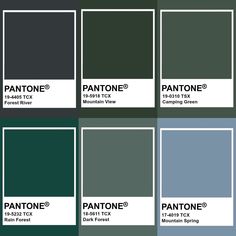 pantone's color swatches with different shades