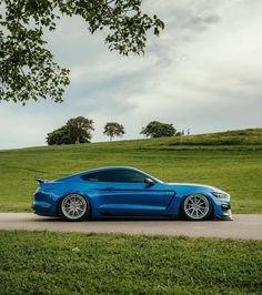 a blue sports car parked on the side of a road next to a lush green field